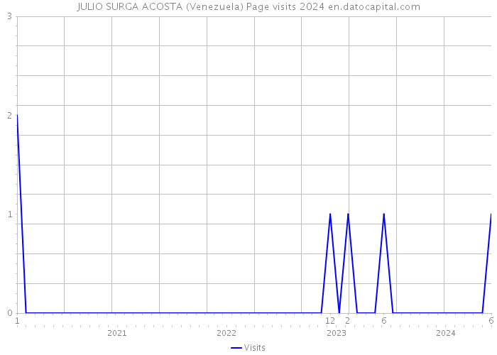 JULIO SURGA ACOSTA (Venezuela) Page visits 2024 
