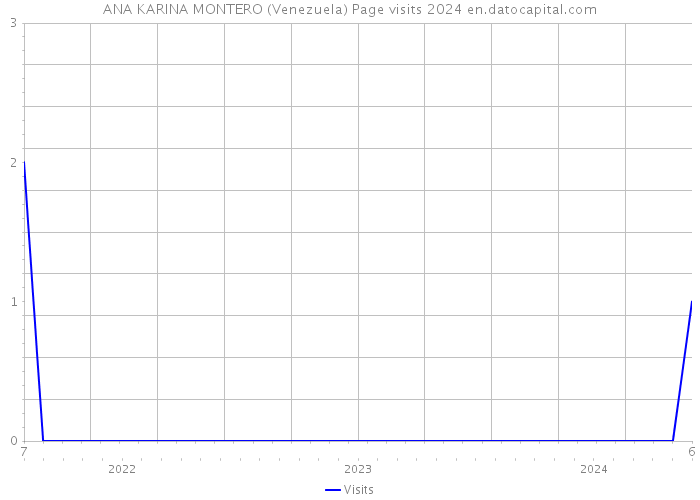 ANA KARINA MONTERO (Venezuela) Page visits 2024 