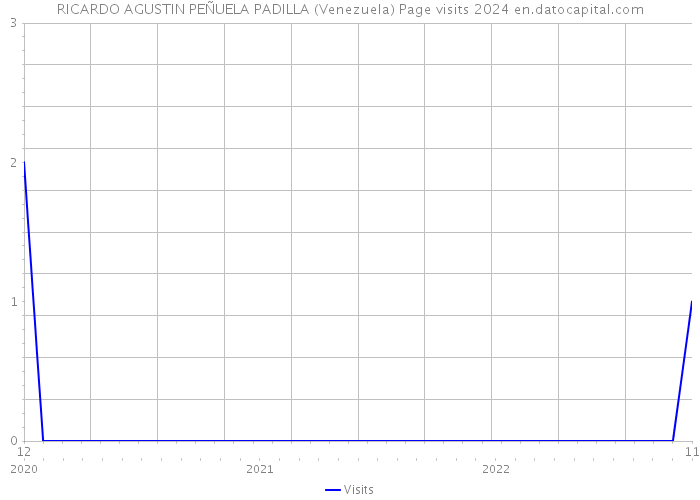 RICARDO AGUSTIN PEÑUELA PADILLA (Venezuela) Page visits 2024 