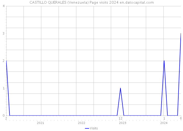 CASTILLO QUERALES (Venezuela) Page visits 2024 