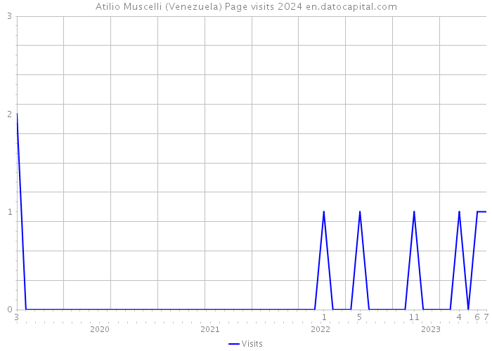 Atilio Muscelli (Venezuela) Page visits 2024 