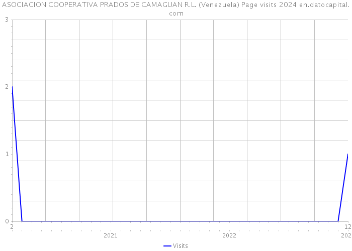 ASOCIACION COOPERATIVA PRADOS DE CAMAGUAN R.L. (Venezuela) Page visits 2024 