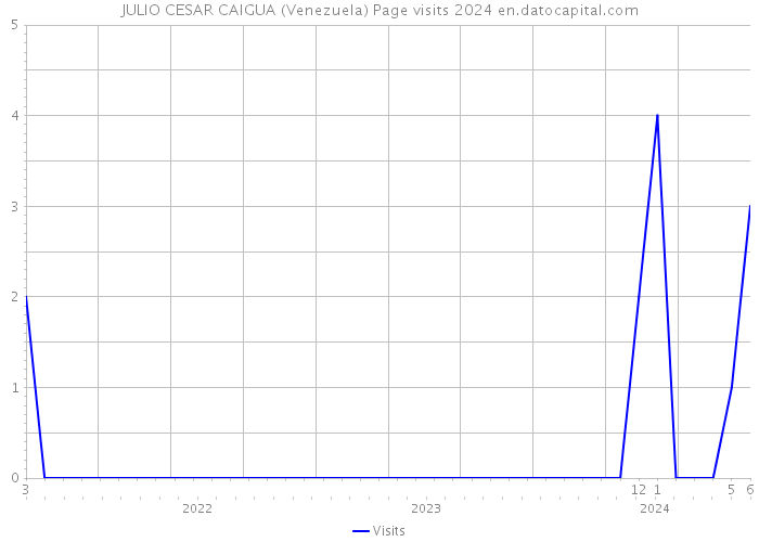 JULIO CESAR CAIGUA (Venezuela) Page visits 2024 