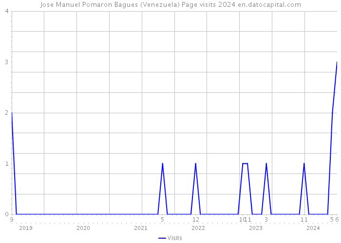 Jose Manuel Pomaron Bagues (Venezuela) Page visits 2024 
