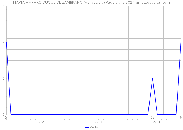 MARIA AMPARO DUQUE DE ZAMBRANO (Venezuela) Page visits 2024 