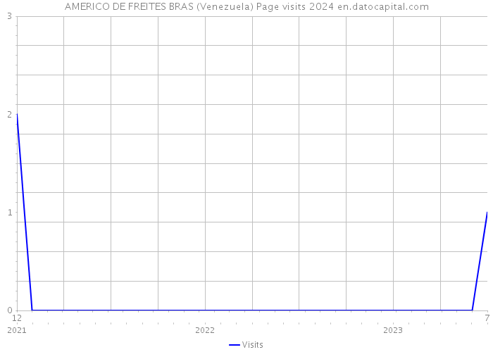 AMERICO DE FREITES BRAS (Venezuela) Page visits 2024 
