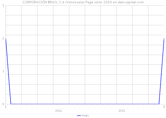 CORPORACIÓN BRAO, C.A (Venezuela) Page visits 2024 