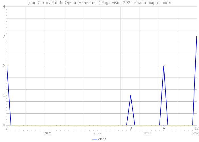 Juan Carlos Pulido Ojeda (Venezuela) Page visits 2024 