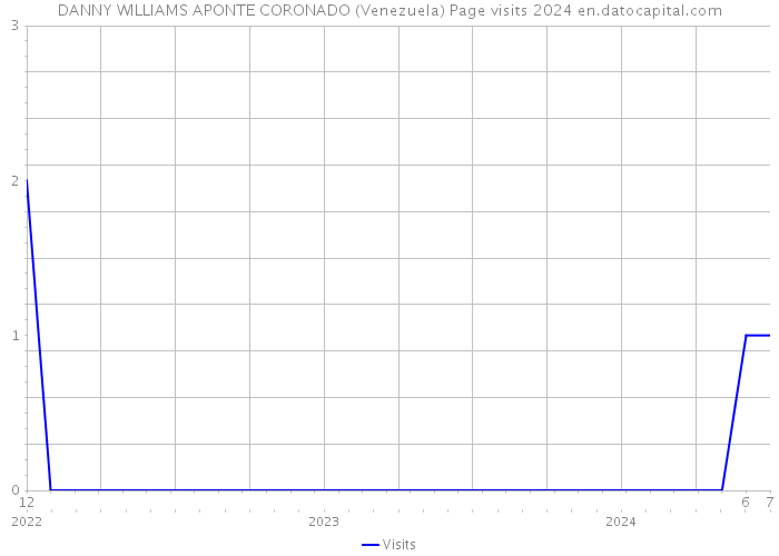 DANNY WILLIAMS APONTE CORONADO (Venezuela) Page visits 2024 