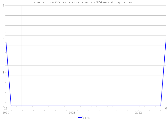 amelia pinto (Venezuela) Page visits 2024 