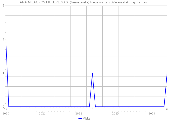 ANA MILAGROS FIGUEREDO S. (Venezuela) Page visits 2024 
