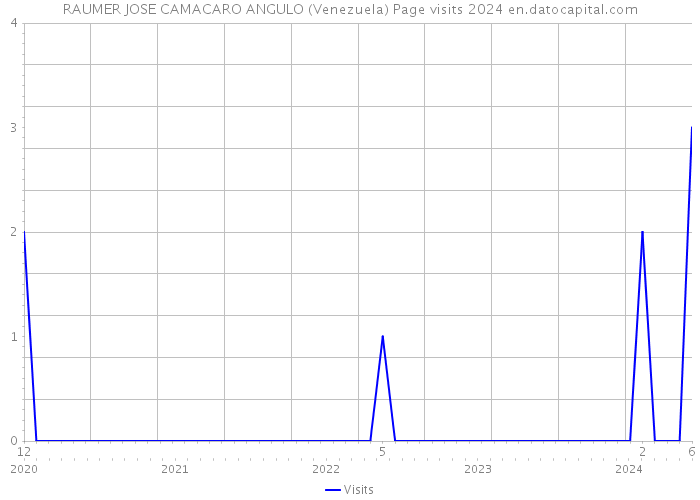 RAUMER JOSE CAMACARO ANGULO (Venezuela) Page visits 2024 