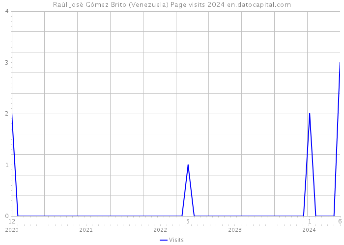 Raùl Josè Gómez Brito (Venezuela) Page visits 2024 