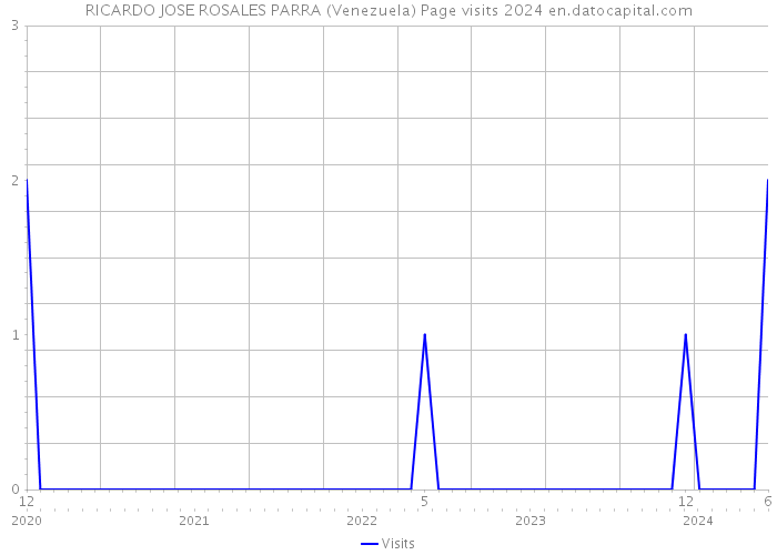 RICARDO JOSE ROSALES PARRA (Venezuela) Page visits 2024 