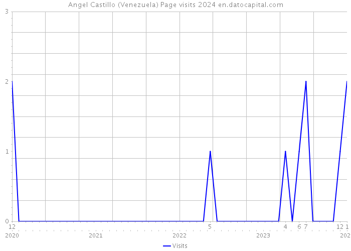 Angel Castillo (Venezuela) Page visits 2024 