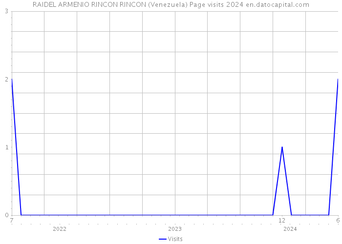 RAIDEL ARMENIO RINCON RINCON (Venezuela) Page visits 2024 