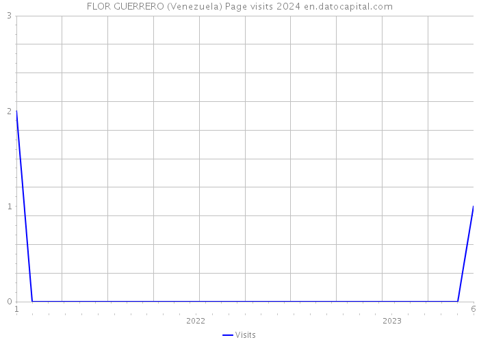 FLOR GUERRERO (Venezuela) Page visits 2024 