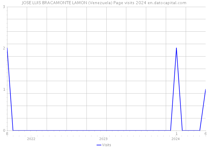 JOSE LUIS BRACAMONTE LAMON (Venezuela) Page visits 2024 
