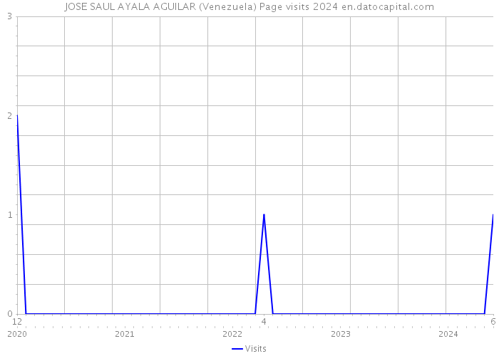 JOSE SAUL AYALA AGUILAR (Venezuela) Page visits 2024 