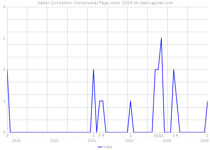 Valter Gozzellino (Venezuela) Page visits 2024 