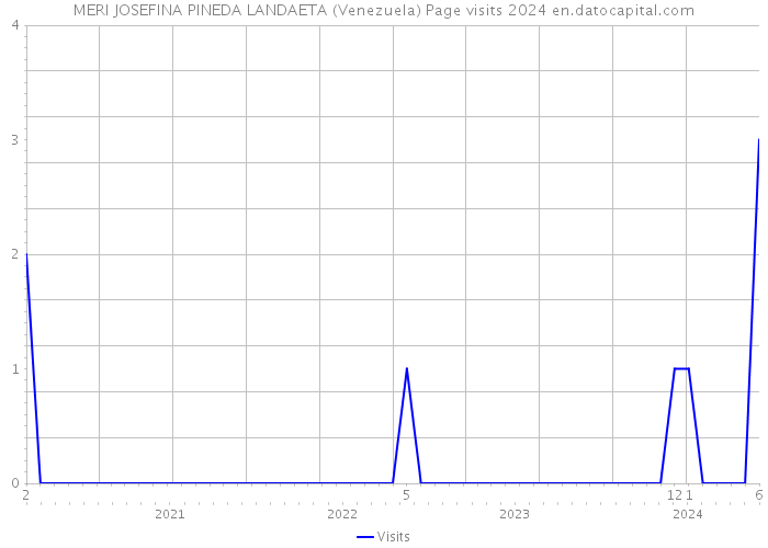 MERI JOSEFINA PINEDA LANDAETA (Venezuela) Page visits 2024 