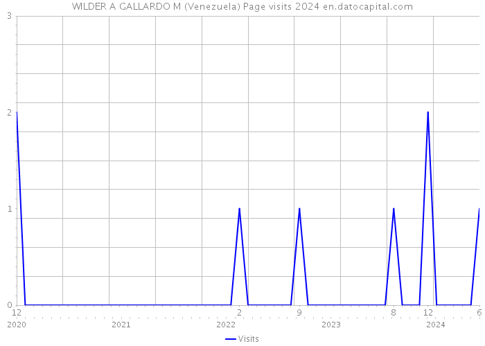 WILDER A GALLARDO M (Venezuela) Page visits 2024 