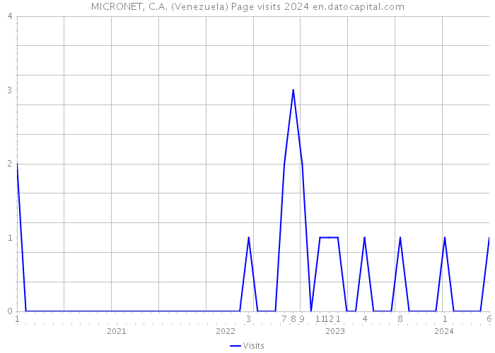 MICRONET, C.A. (Venezuela) Page visits 2024 