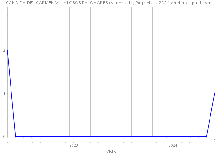 CANDIDA DEL CARMEN VILLALOBOS PALOMARES (Venezuela) Page visits 2024 