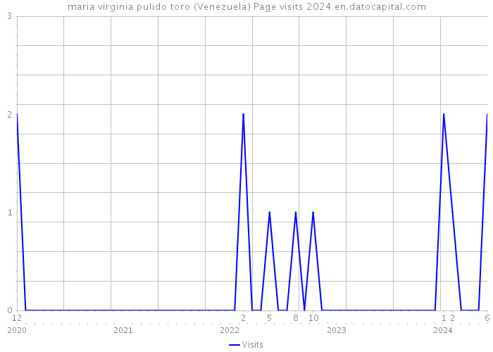 maria virginia pulido toro (Venezuela) Page visits 2024 