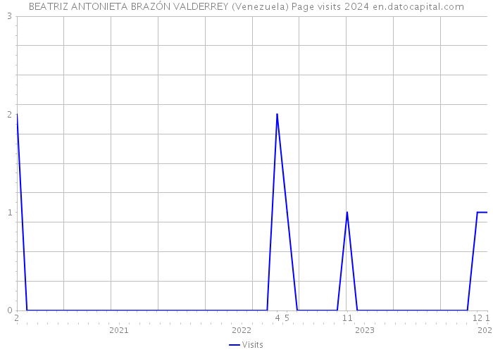 BEATRIZ ANTONIETA BRAZÓN VALDERREY (Venezuela) Page visits 2024 