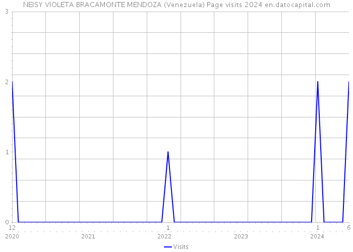NEISY VIOLETA BRACAMONTE MENDOZA (Venezuela) Page visits 2024 