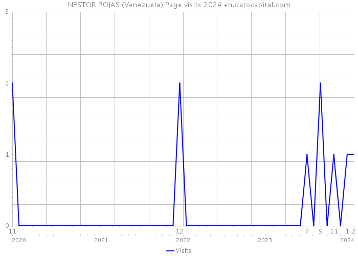 NESTOR ROJAS (Venezuela) Page visits 2024 