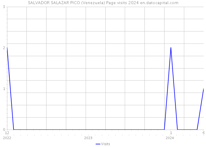 SALVADOR SALAZAR PICO (Venezuela) Page visits 2024 