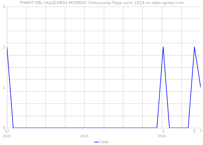 THAMY DEL VALLE MEZA MORENO (Venezuela) Page visits 2024 