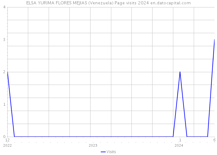 ELSA YURIMA FLORES MEJIAS (Venezuela) Page visits 2024 