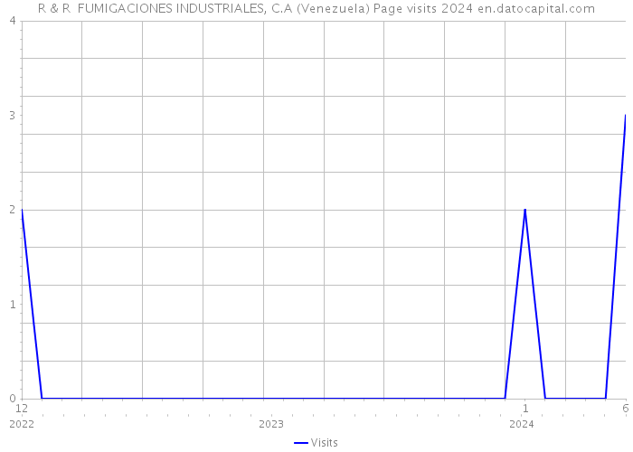 R & R FUMIGACIONES INDUSTRIALES, C.A (Venezuela) Page visits 2024 