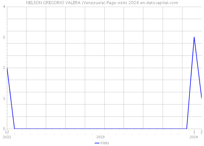 NELSON GREGORIO VALERA (Venezuela) Page visits 2024 
