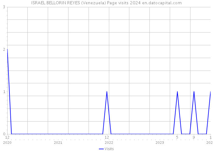 ISRAEL BELLORIN REYES (Venezuela) Page visits 2024 