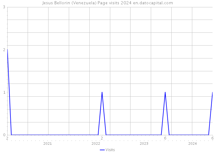 Jesus Bellorin (Venezuela) Page visits 2024 