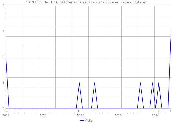 CARLOS PIÑA HIDALGO (Venezuela) Page visits 2024 