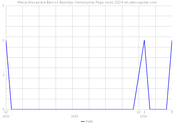 Maria Alexandra Barrios Bastidas (Venezuela) Page visits 2024 