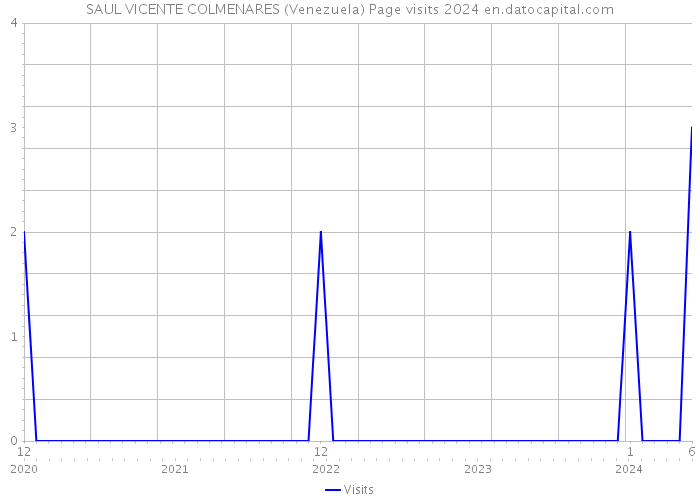 SAUL VICENTE COLMENARES (Venezuela) Page visits 2024 