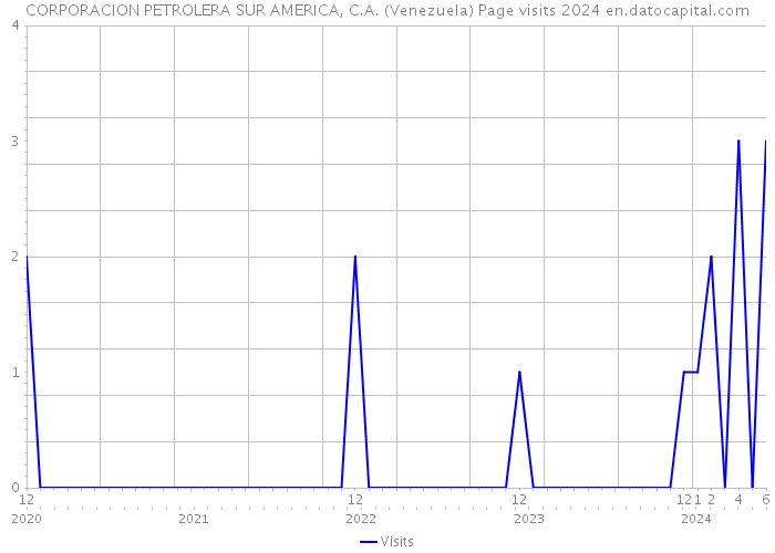 CORPORACION PETROLERA SUR AMERICA, C.A. (Venezuela) Page visits 2024 