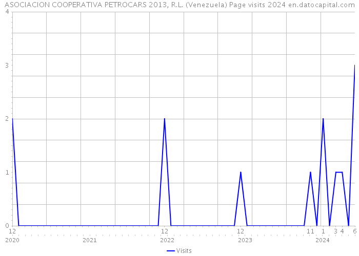 ASOCIACION COOPERATIVA PETROCARS 2013, R.L. (Venezuela) Page visits 2024 