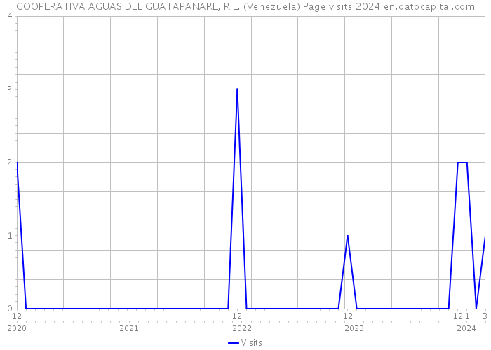 COOPERATIVA AGUAS DEL GUATAPANARE, R.L. (Venezuela) Page visits 2024 
