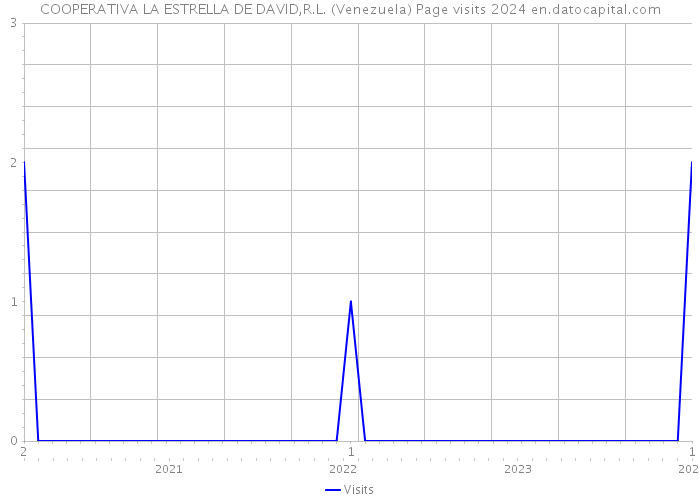 COOPERATIVA LA ESTRELLA DE DAVID,R.L. (Venezuela) Page visits 2024 