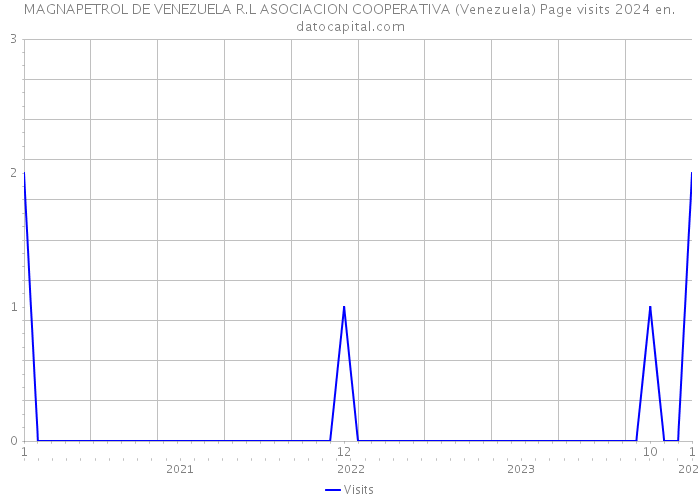 MAGNAPETROL DE VENEZUELA R.L ASOCIACION COOPERATIVA (Venezuela) Page visits 2024 
