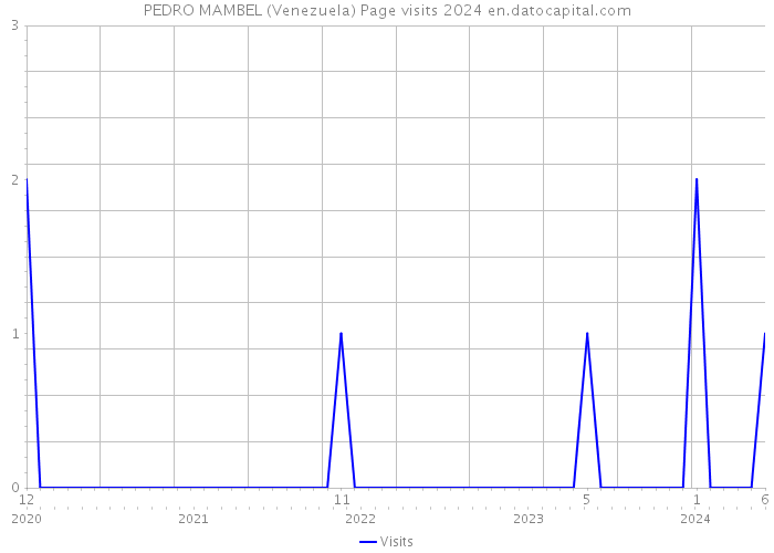 PEDRO MAMBEL (Venezuela) Page visits 2024 