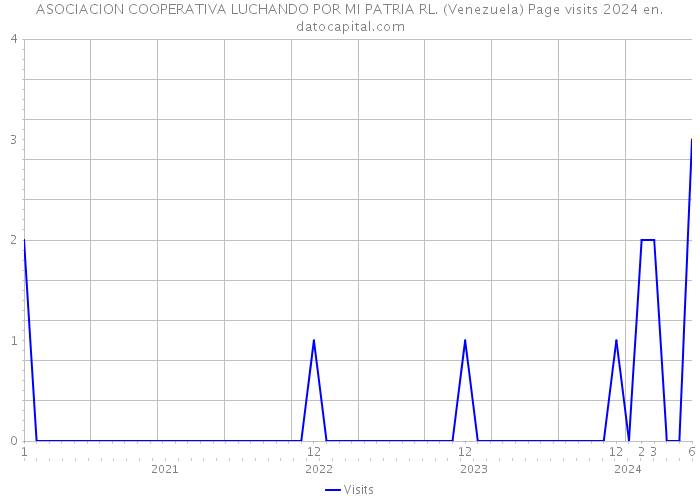 ASOCIACION COOPERATIVA LUCHANDO POR MI PATRIA RL. (Venezuela) Page visits 2024 