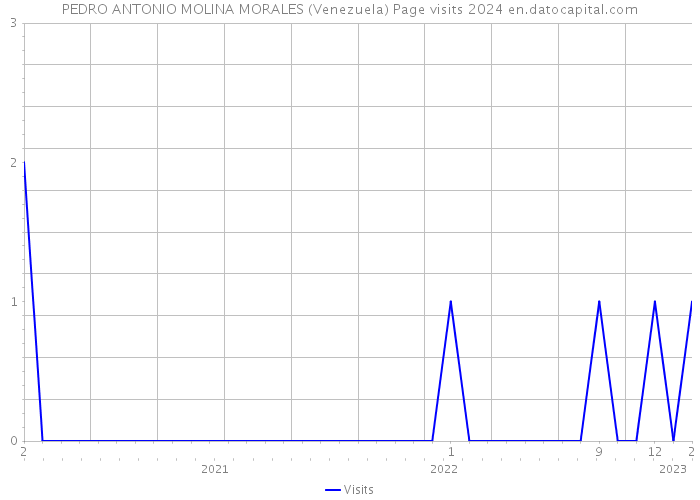 PEDRO ANTONIO MOLINA MORALES (Venezuela) Page visits 2024 